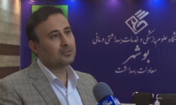 تلاش برای جلوگیری از انتقال پشه آئدس به شهرستان‌های استان بوشهر