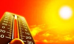 دمای برخی نقاط استان بوشهر به بالای ۵۰ درجه رسید