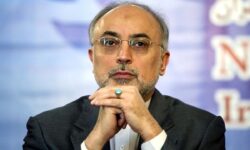 توصیه علی‌اکبر صالحی به دولت پزشکیان: در سیاست خارجی راه شهید امیرعبداللهیان را ادامه دهید