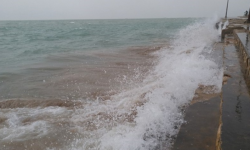 پیش‌بینی شرجی بالا در بوشهر تا اواخر هفته