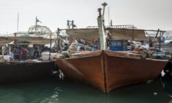 صید میگو در استان بوشهر به تاخیر افتاد