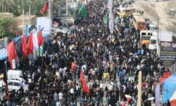 پیاده روی ولایت در دشتستان