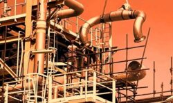 حق استان بوشهر ادا شود/ بومی‌گزینی در صنایع دو سر برد است