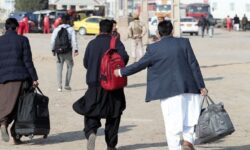 اتباع غیرمجاز تحت تعقیب پلیس قرار می گیرند