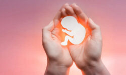 صدور ۳۴ مجوز سقط جنین در استان بوشهر