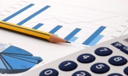 ۱۰ همت مالیات در استان بوشهر وصول شد