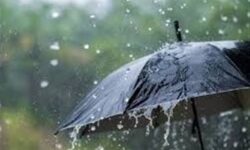 بارش نخستین باران پاییزی در ۸ نقطه بوشهر