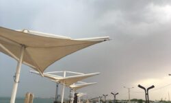 پیشبینی بارش پراکنده باران در برخی نقاط بوشهر