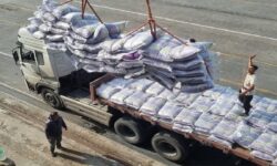 به‌کارگیری ۱۳۰۰ کامیون در انتقال برنج وارداتی از بوشهر