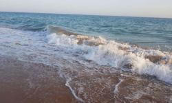 جنوبی شدن جریانات جوی در بوشهر