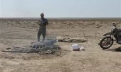 شناسایی و تخریب ۳۰۰ دام زندهگیری پرندگان در بوشهر