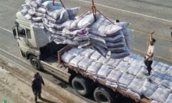 پایان عملیات تخلیه ۳۰ هزار تن برنج در بندر بوشهر