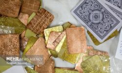 خانم رمال با درآمد کلاهبرداری صاحب ۴ خانه شد