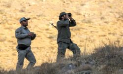 ۳ سال حبس برای ضارب محیطبانان بوشهری