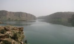 کاهش ۴۰ درصدی حجم ذخیره آب سد رئیسعلی دلواری بوشهر