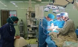 اعضای کودک ۵ ساله بوشهری به بیماران نیازمند عضو اهدا شد