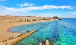 بسیاری از گونه‌های زیستی خلیج فارس در معرض انقراض قرار دارد