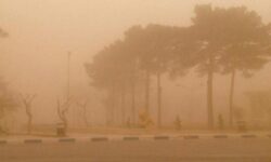 هوای ۵ شهر استان بوشهر در وضعیت خطرناک/کاهش دید افقی