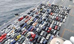 فیلم| ۵۰۰ دستگاه خودور وارداتی در مجتمع بندری نگین بوشهر تخلیه شد