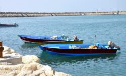 پیش‌بینی وضعیت جوی آرام برای بوشهر