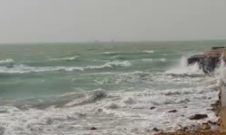 پیشبینی وزش بادهای شمالی و بارش باران برای بوشهر