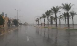 آسمان بوشهر از دوشنبه بارانی است