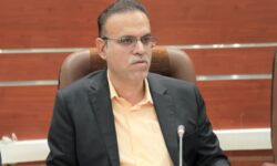 اصلاح و بازسازی ۸۷۰هکتار از نخیلات استان بوشهر