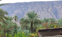 ورود سامانه بارشی جدید به استان بوشهر