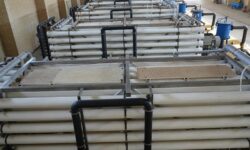 ساخت آب‌شیرین‌کن بندر دیر با ۱۸۰ میلیارد تومان