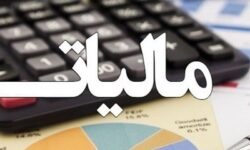 بیش از ۲۵۰ هزار میلیارد ریال درآمد در استان بوشهر وصول شد