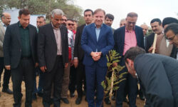 استاندار بوشهر در مراسم روز درختکاری: حفاظت از منابع طبیعی وظیفه‌ای همگانی است