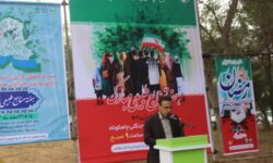 مدیرکل منابع طبیعی استان بوشهر: سازمان منطقه ویژه حتی یک درصد به تعهدات کاشت درخت عمل نکرده است