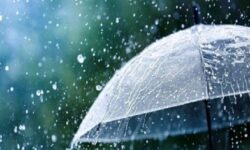 هوای استان بوشهر بارانی پیش بینی می شود