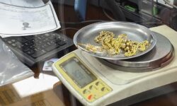 پیش فروش سکه با دلار ۱۲۰ هزار تومانی/ بانک مرکزی مغازه طلافروشی باز کرده تا ملت سفته باز شوند