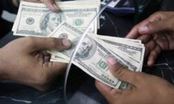 چند درصد شرکتهایی که ارز خود را باز نمیگردانند دولتی هستند؟ | استدلال عجیب شرکتهایی که ارزها را به کشور باز نمیگردانند