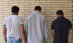 سارقان طلاجات منازل در «دشتستان» دستگیر شدند