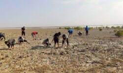 پویش درختکاری ۱۵ اسفند با شعار «جان ایران»