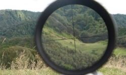 زخمی‌شدن محیط‌بان بوشهری به دست شکارچیان غیرمجاز آهو