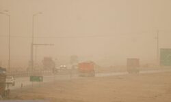 غیر حضوری شدن مدارس، دانشگاهها و ادارههای استان بوشهر در روز سهشنبه