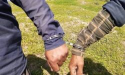 دستگیری عاملان تیراندازی به محیطبانان بوشهری