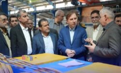 ۸۲ هکتار به اراضی شهرک صنعتی برازجان افزوده شد