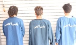 انهدام باند حرفه‌ای سارقان خودرو در بوشهر