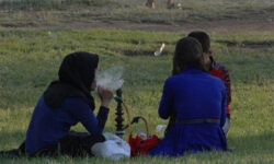 زنان بوشهری در مصرف قلیان در کشور اول هستند