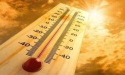 دمای هوا در استان بوشهر افزایش مییابد