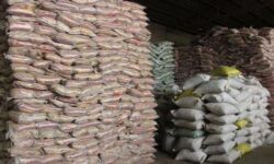 ۵۴ هزار تن برنج در بوشهر ذخیرهسازی شد