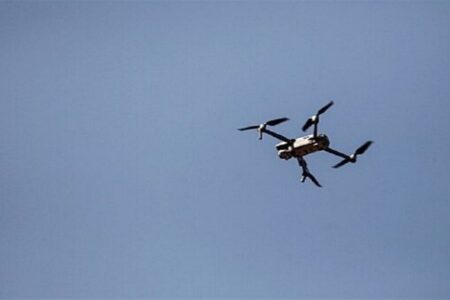 شماری در ارتباط با پرونده ریزپرنده‌ها در استان بوشهر دستگیر شدند