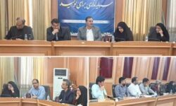 بازرسی از انبارهای کالا در دشتستان تشدید میشود