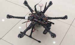 کشف ۸۹ ریزپرنده در شهرستان گناوه