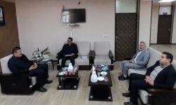 ۴۰ درصد پرونده‌های قضایی استان بوشهر ناشی از مشکلات ملکی است