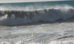 پیش‌بینی ادامه وزش باد شدید در بوشهر